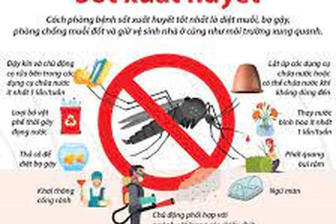 Một số cách biện pháp phòng chống bệnh sốt xuất huyết hiệu quả