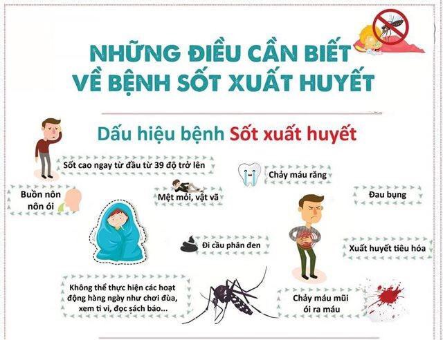 Các biện pháp phòng tránh bệnh sốt xuất huyết